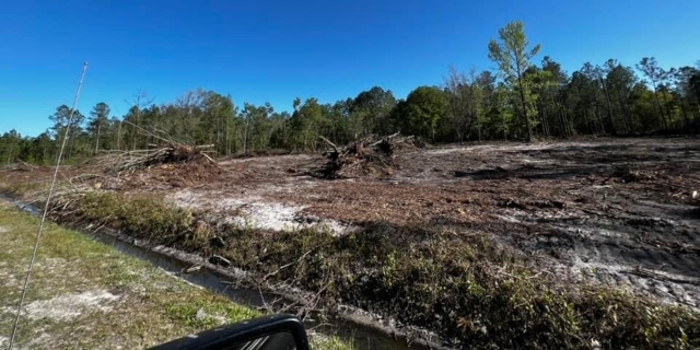 Land clearing st augustine