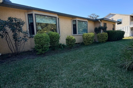 Bush & Tree Trimming