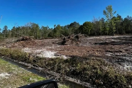 Land Clearing